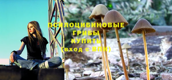таблы Алексин