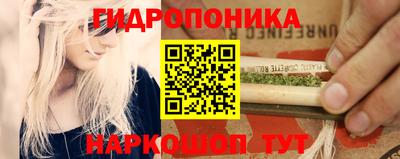 молекула духа Можга