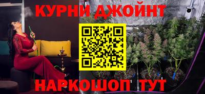 стаф Моздок
