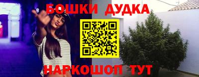 стаф Моздок