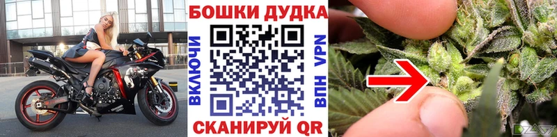 Марихуана Bruce Banner  купить наркотики сайты  Шадринск 